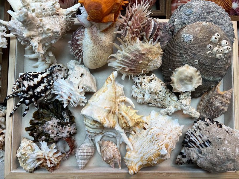 海洋生物工程选购指南：打造科学与自然的和谐共生