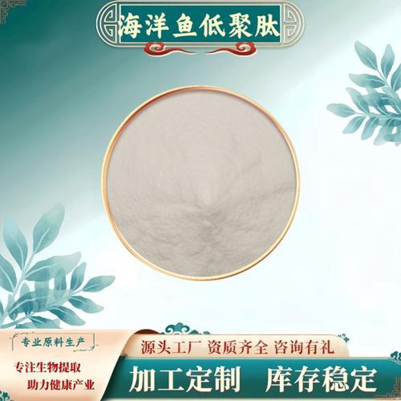 探索海洋生物制品的世界：选购指南